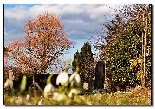 In the Church yard.jpg